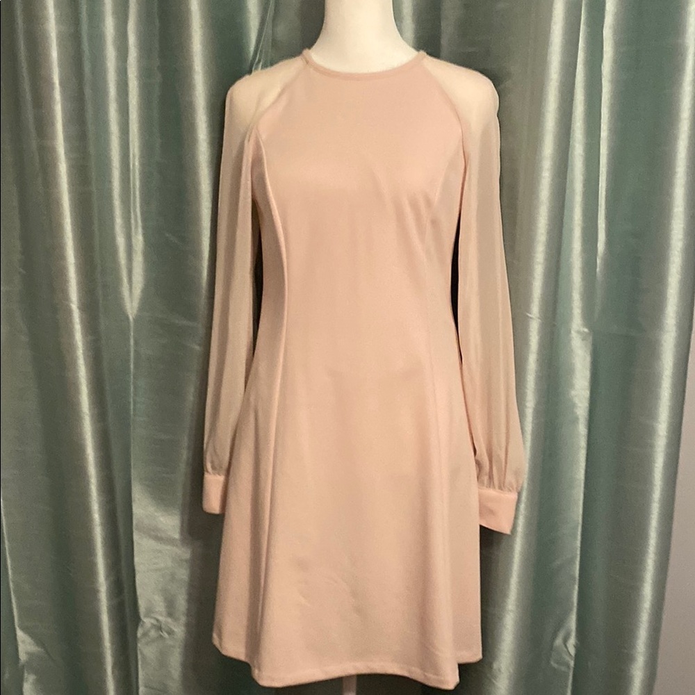 Elegant Baby Pink Long Sleeve Dress